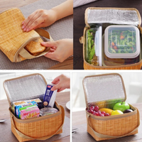 Bolsa Portátil para Piquenique com Isolamento Térmico