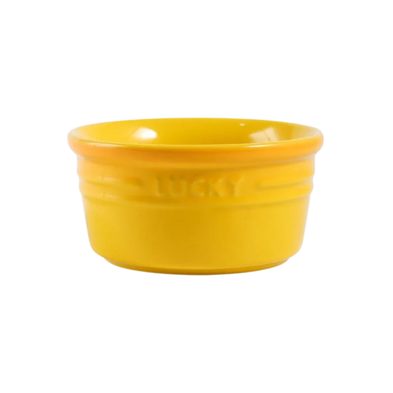 Bowl em Cerâmica Colorida