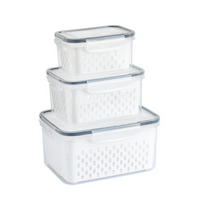 Conjunto Recipiente de Armazenamento com Drenagem