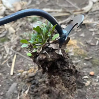 Rastelo Extrator Multifuncional para Jardinagem