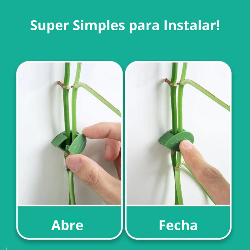 Suporte de Parede Clipes Para Plantas