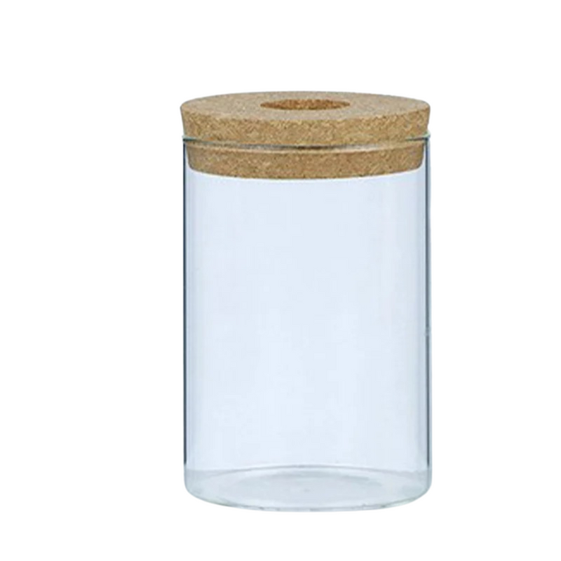 Vaso de Flores Hidropônico em Vidro Transparente