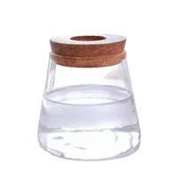 Vaso de Flores Hidropônico em Vidro Transparente
