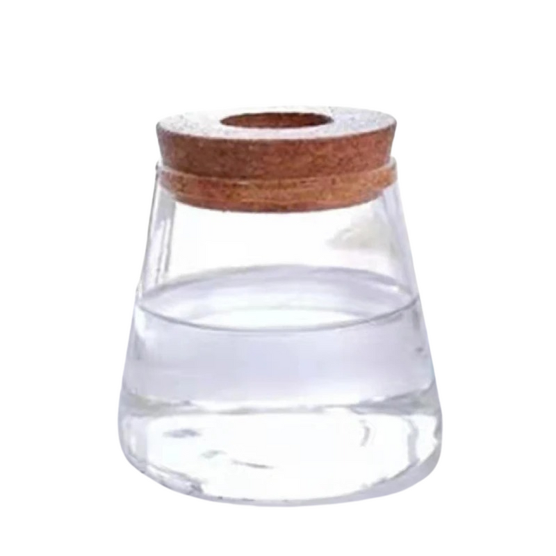 Vaso de Flores Hidropônico em Vidro Transparente