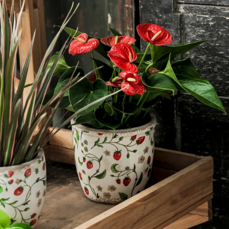 Vaso em Cerâmica com Flores e Morangos